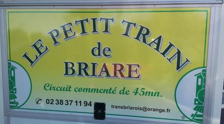 Les balades démarrent au portail du gite de Briare, pas besoin de prendre la voiture. Vous découvrirez une multitude de chemins de halage le long du canal Henri IV , ou en prenant le cirquit de la Scandibérique vers Ouzouer sur Trezee puis Rogny les 7 écluses. La Loire à vélo avec le village de Châtillon sur Loire et le site de l’écluse de Mantelot,ou de l’autre côté pour visiter Gien ,son château et sa célèbre faïencerie.