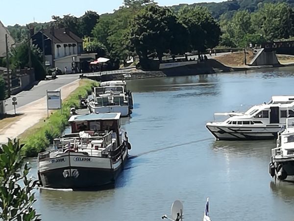 Les balades démarrent au portail du gite de Briare, pas besoin de prendre la voiture. Vous découvrirez une multitude de chemins de halage le long du canal Henri IV , ou en prenant le cirquit de la Scandibérique vers Ouzouer sur Trezee puis Rogny les 7 écluses. La Loire à vélo avec le village de Châtillon sur Loire et le site de l’écluse de Mantelot,ou de l’autre côté pour visiter Gien ,son château et sa célèbre faïencerie.