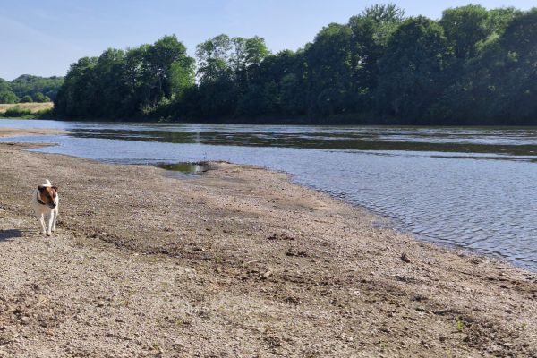 Plage de Loire