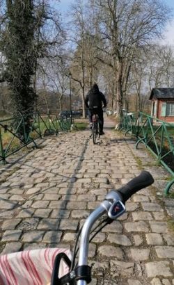 Les balades démarrent au portail du gite de Briare, pas besoin de prendre la voiture. Vous découvrirez une multitude de chemins de halage le long du canal Henri IV , ou en prenant le cirquit de la Scandibérique vers Ouzouer sur Trezee puis Rogny les 7 écluses. La Loire à vélo avec le village de Châtillon sur Loire et le site de l’écluse de Mantelot,ou de l’autre côté pour visiter Gien ,son château et sa célèbre faïencerie.