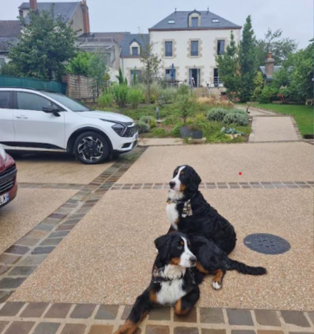 Le gîte Entre Loyre et Canaux accueille de 1 jusqu’à 15 personnes, à la nuitée par chambre ou la maison en sa totalité. Les chiens sont acceptés dans le gîte.